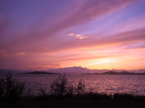 East Bay Regional Park