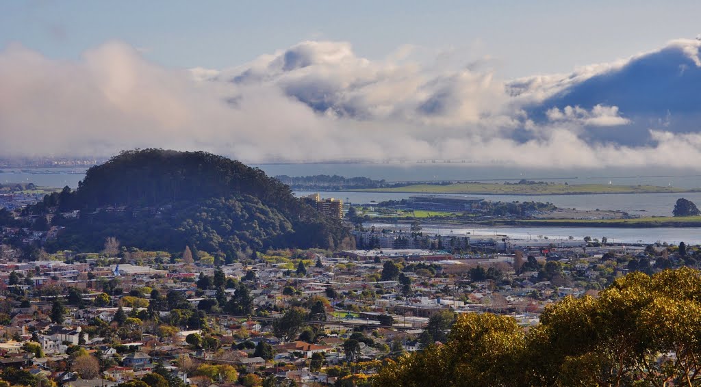 Albaney View fom EL Cerrito