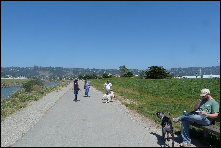 Point Isabel Dog Park, Richmond, CA