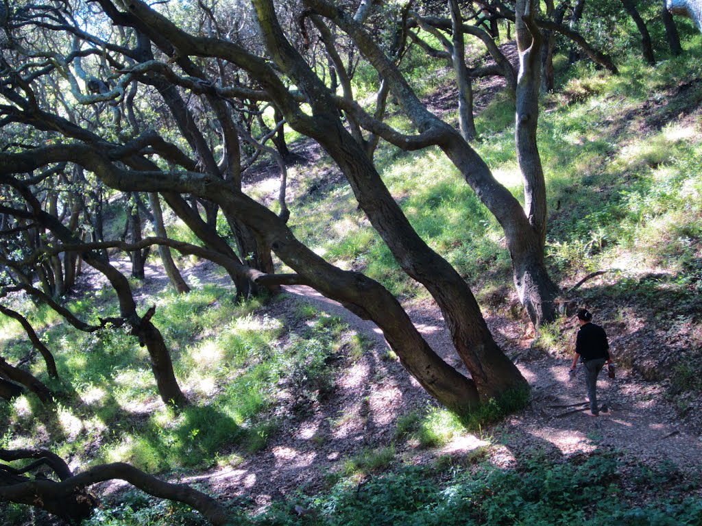 Hillside Natural Area