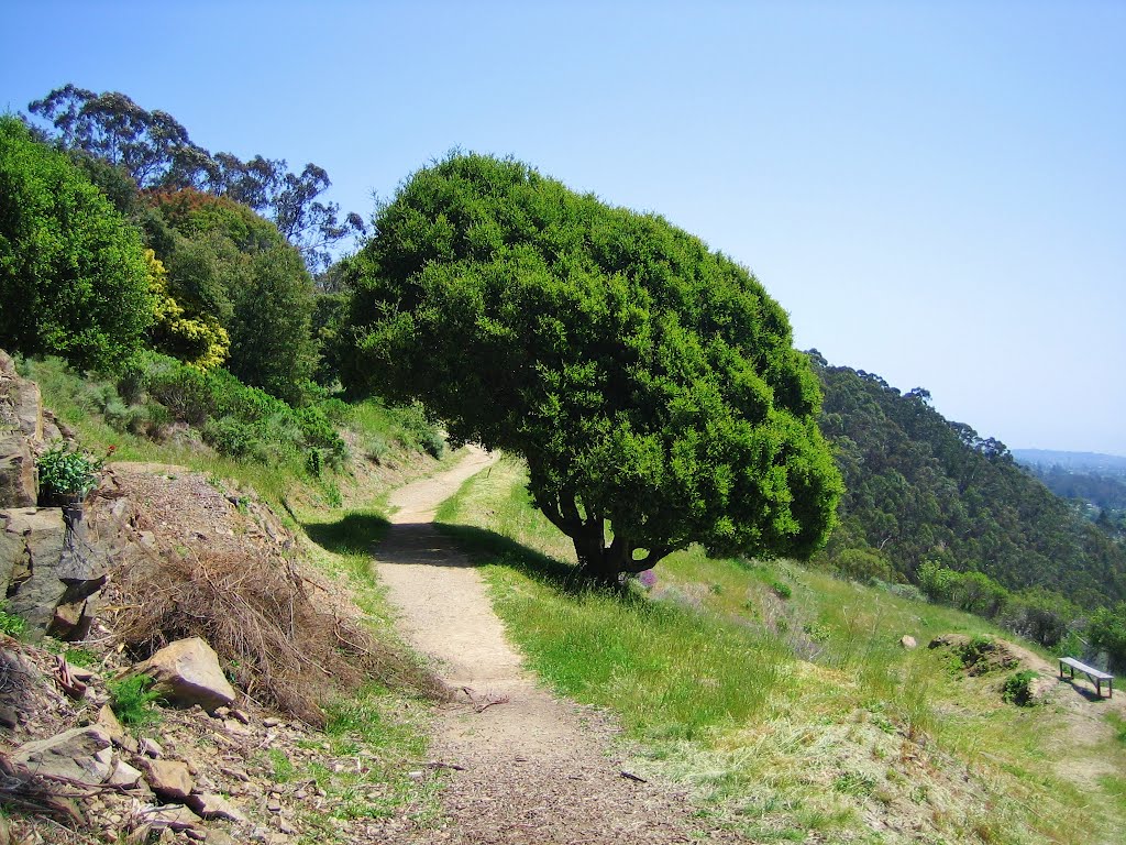 Hillside Natural Area