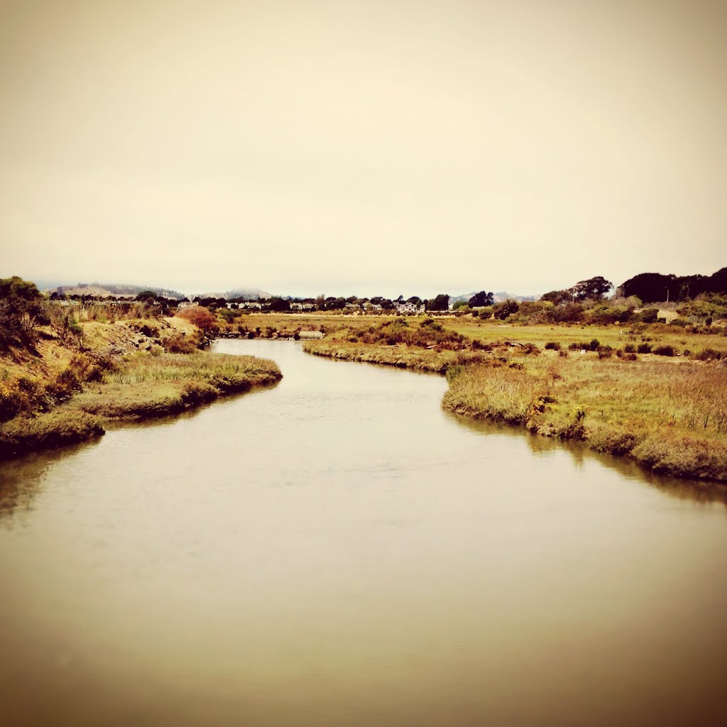 Point Isabel Walk