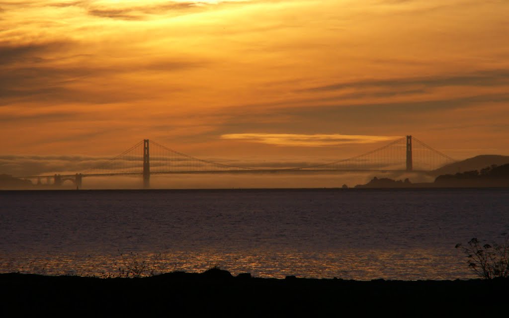 The Gate from Pt. Isabel