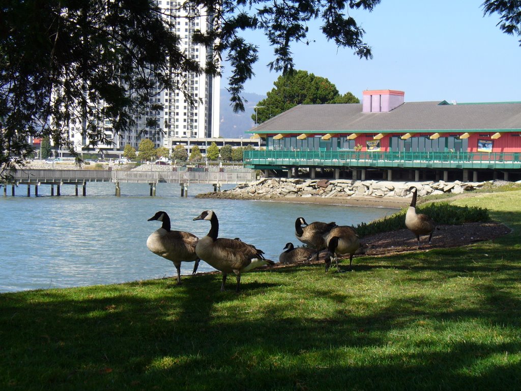 Emeryville Point - (TK)