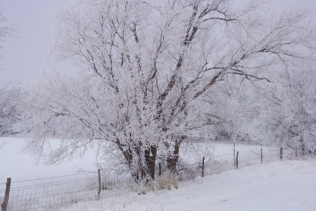 12-2003 ice storm