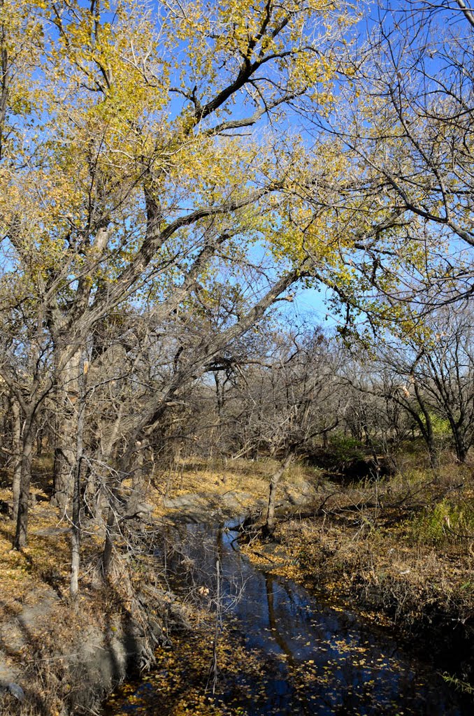 Chisholm Creek Park - Wichita, KS, USA