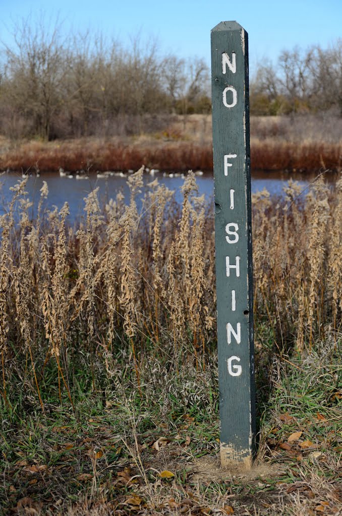 Chisholm Creek Park - Wichita, KS, USA