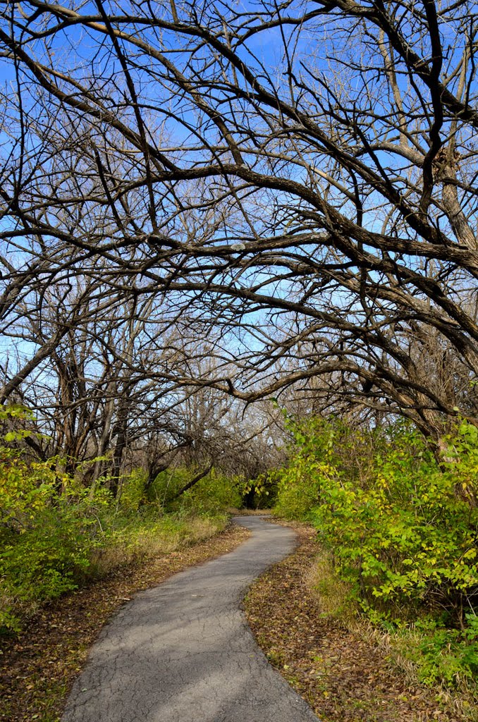 Chisholm Creek Park - Wichita, KS, USA