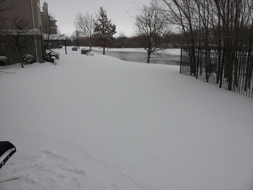 Winter Wonderland