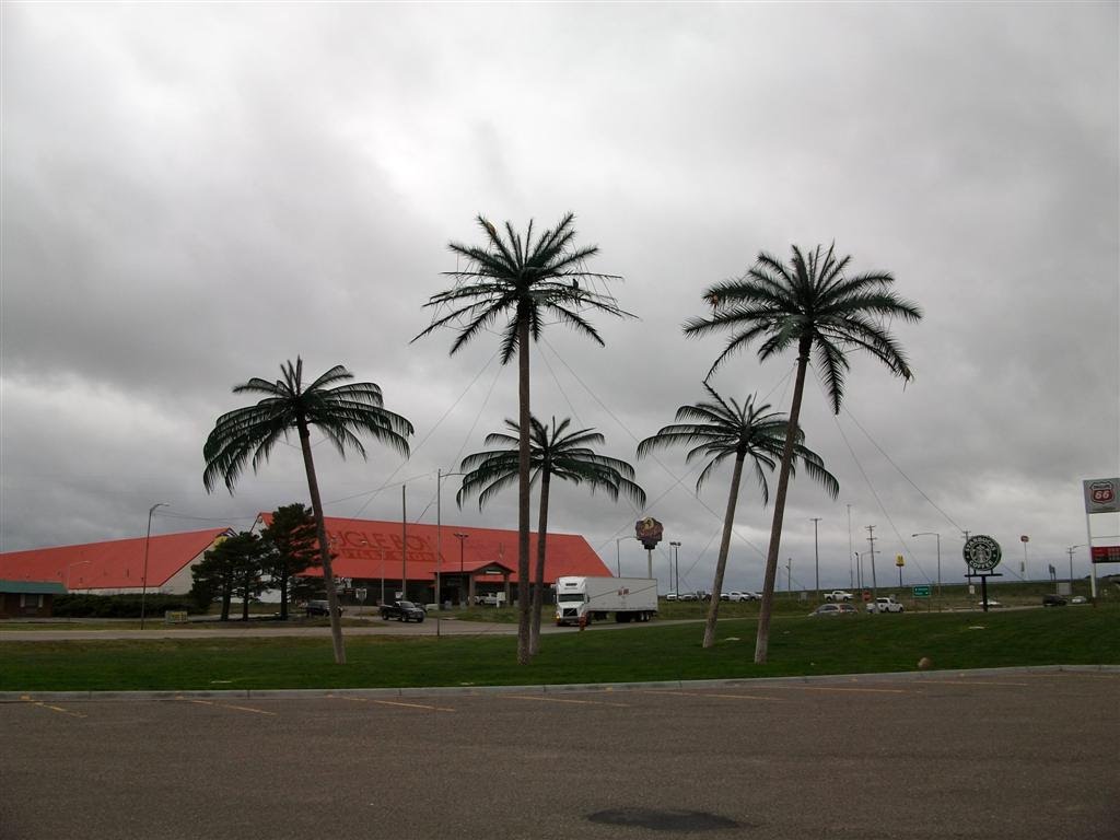 palm trees near I-70, promoting Colby as Oasis of the Plains, Colby, KS