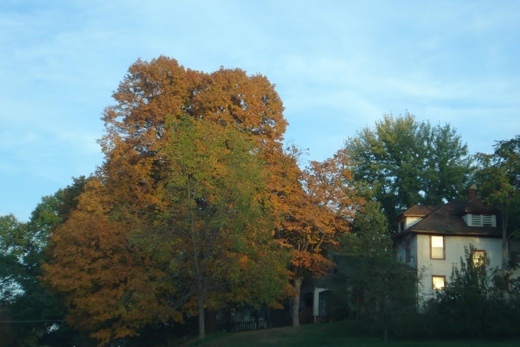 Autumn Tree - Leavenworth