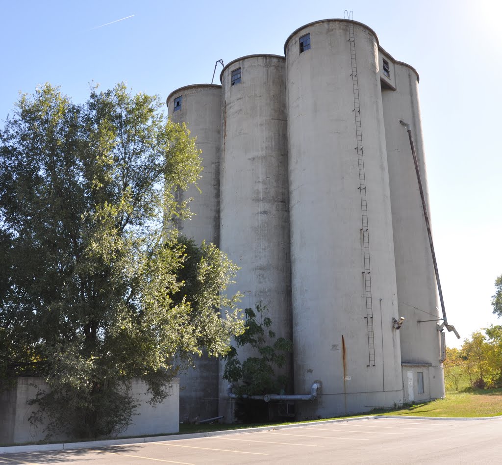 Old grain elevator next to railroad tracks