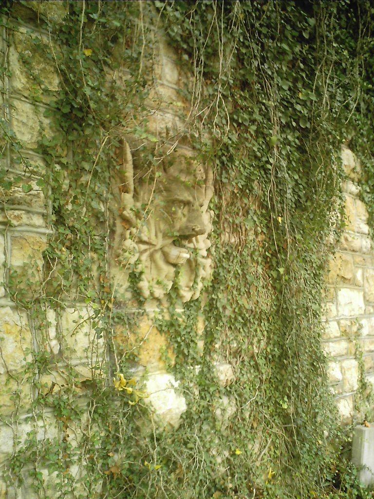 Anthropology garden wall