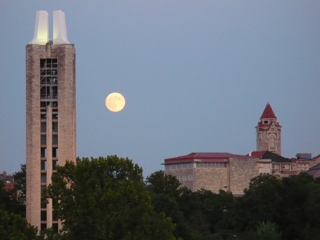 August Moon