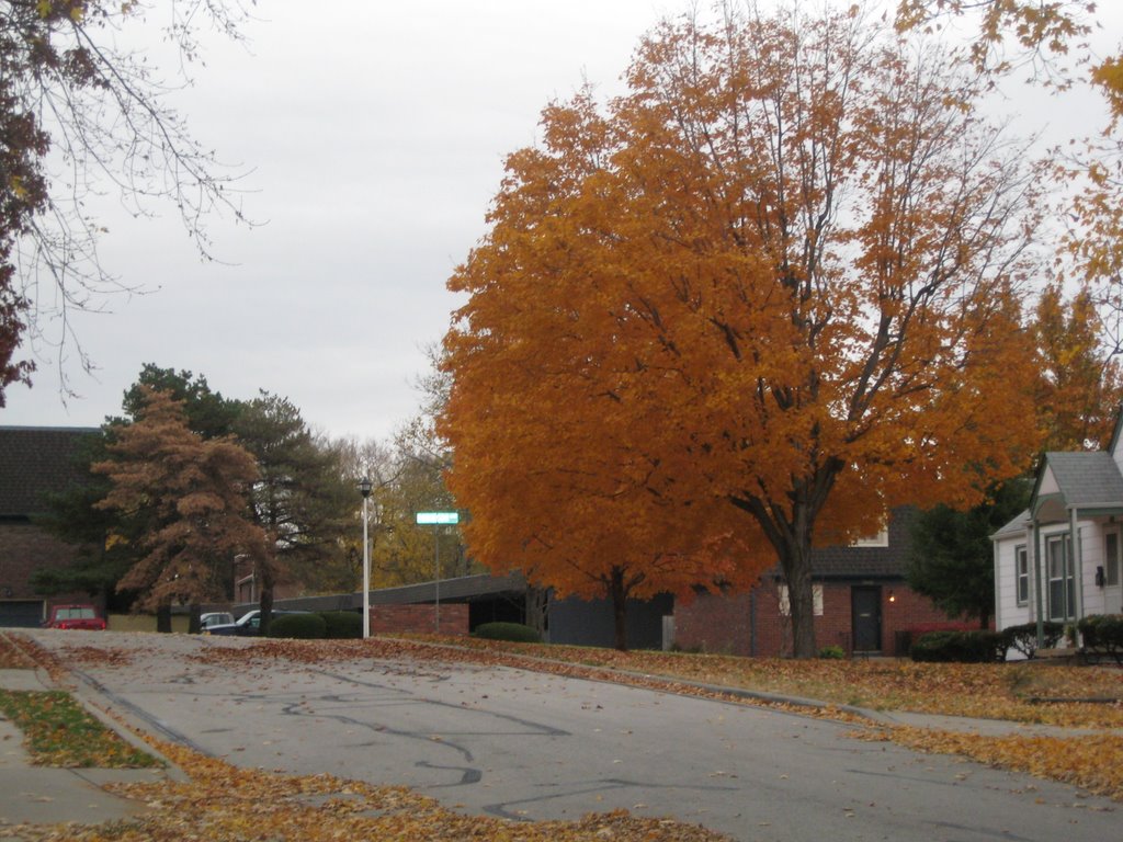 The Best Fall Color (11/2007)