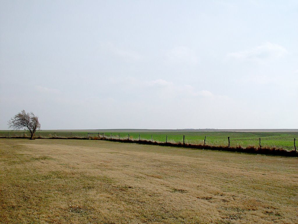 Ogallah Kansas