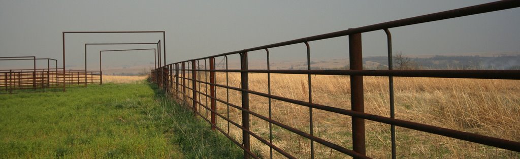 Prairie Burn
