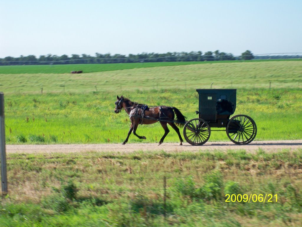 REVERTING TO THE PAST,KANSAS,USA . -(AMISH  BUGGY,LIFE STYLE)