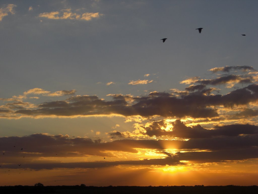 Spectacular Summer Sunset