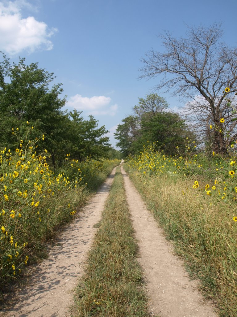 Sunflower Road