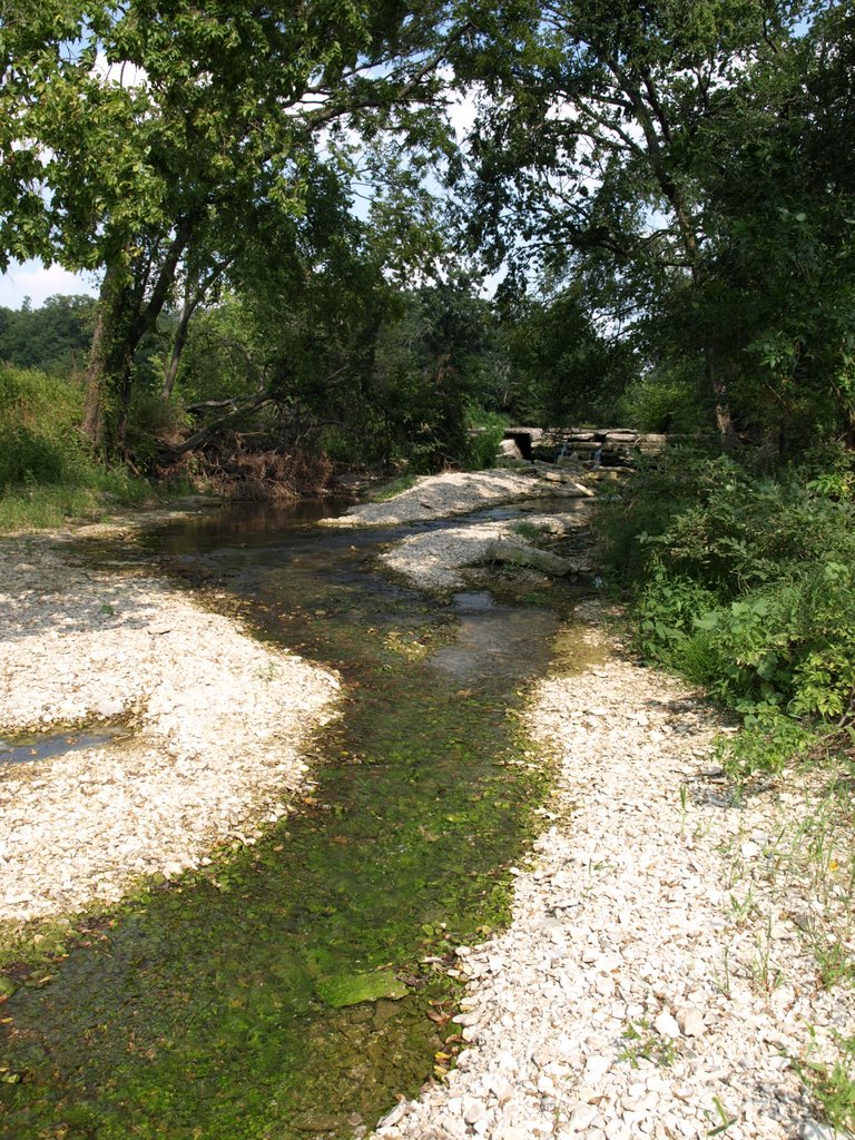 Otter Creek