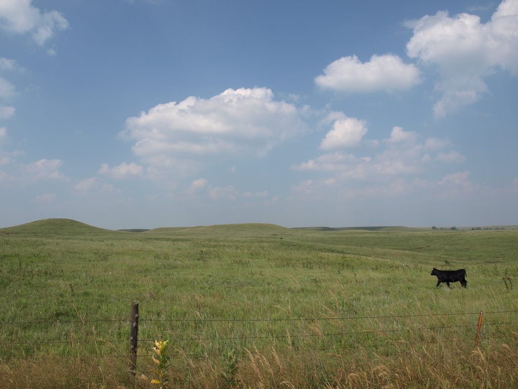 Flint Hills
