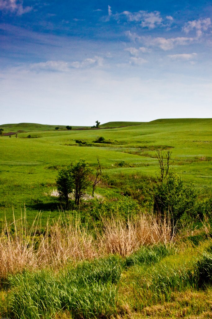 Flint Hills
