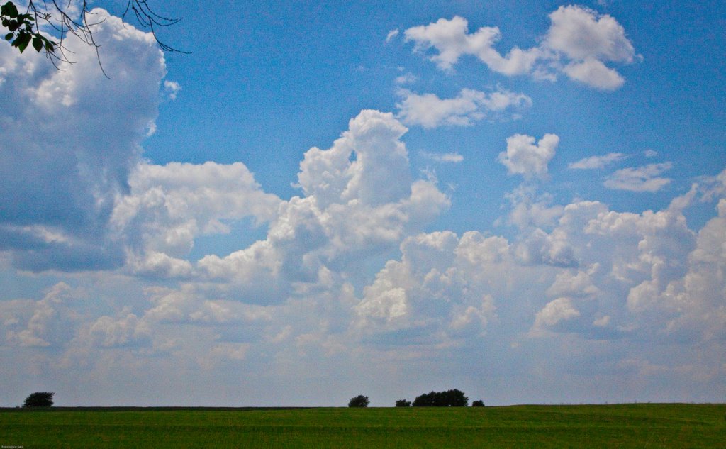 Land of the Big Sky