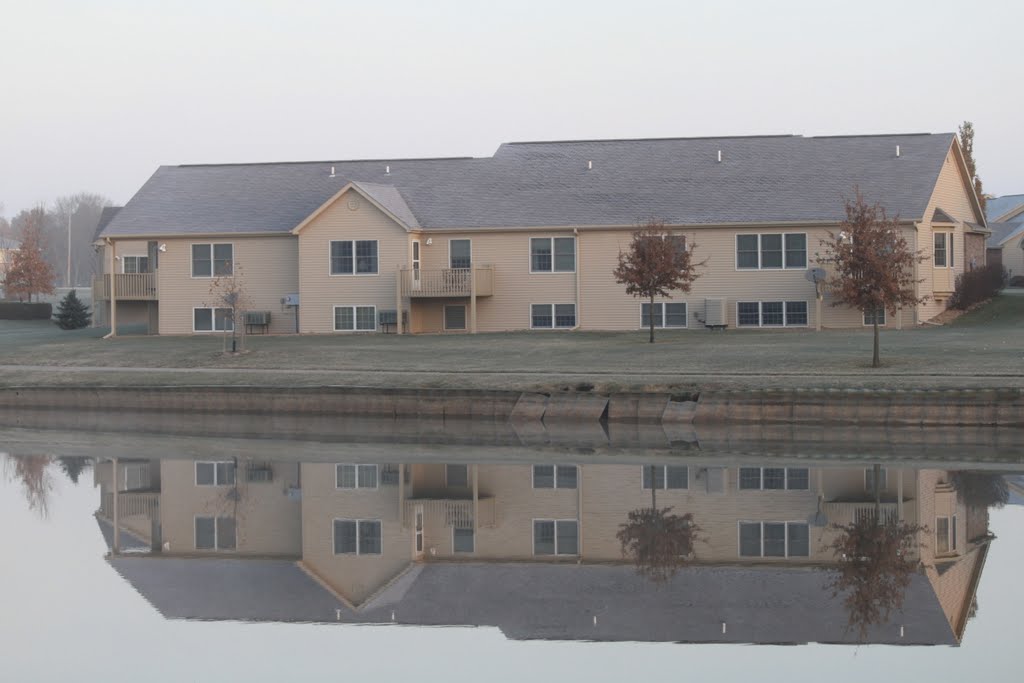 Calm Reflection