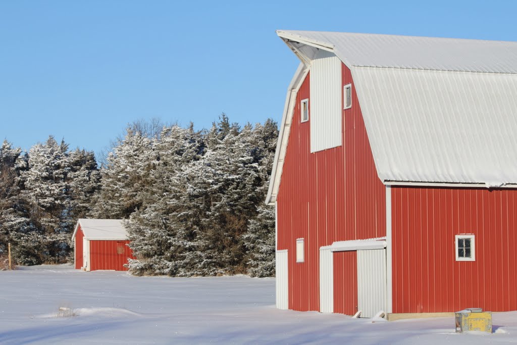 Family Resemblance! Barn # Nine