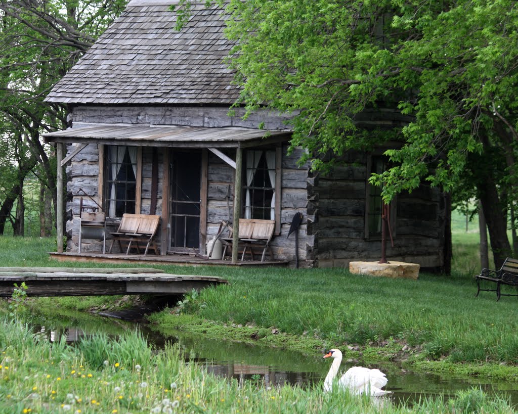 Waynes Cabin. Spring.