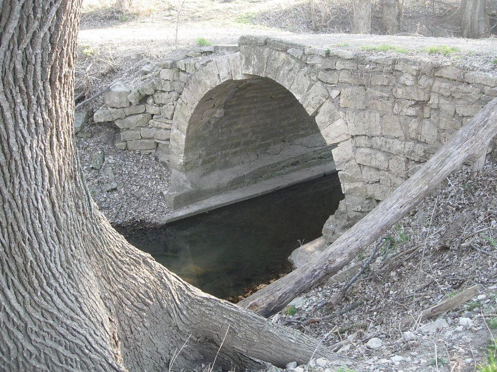 DSCN3115