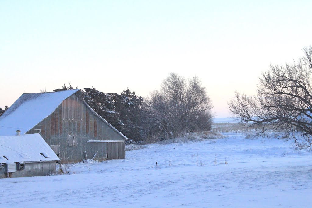 Old Barn # 19