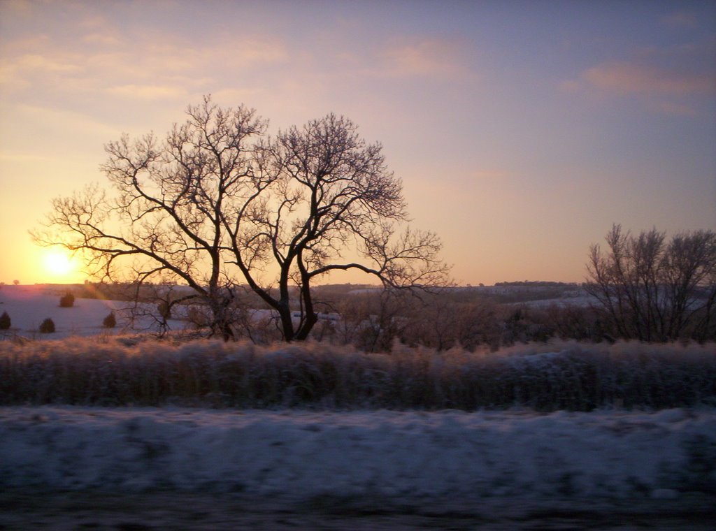 Cold Winter Sunset