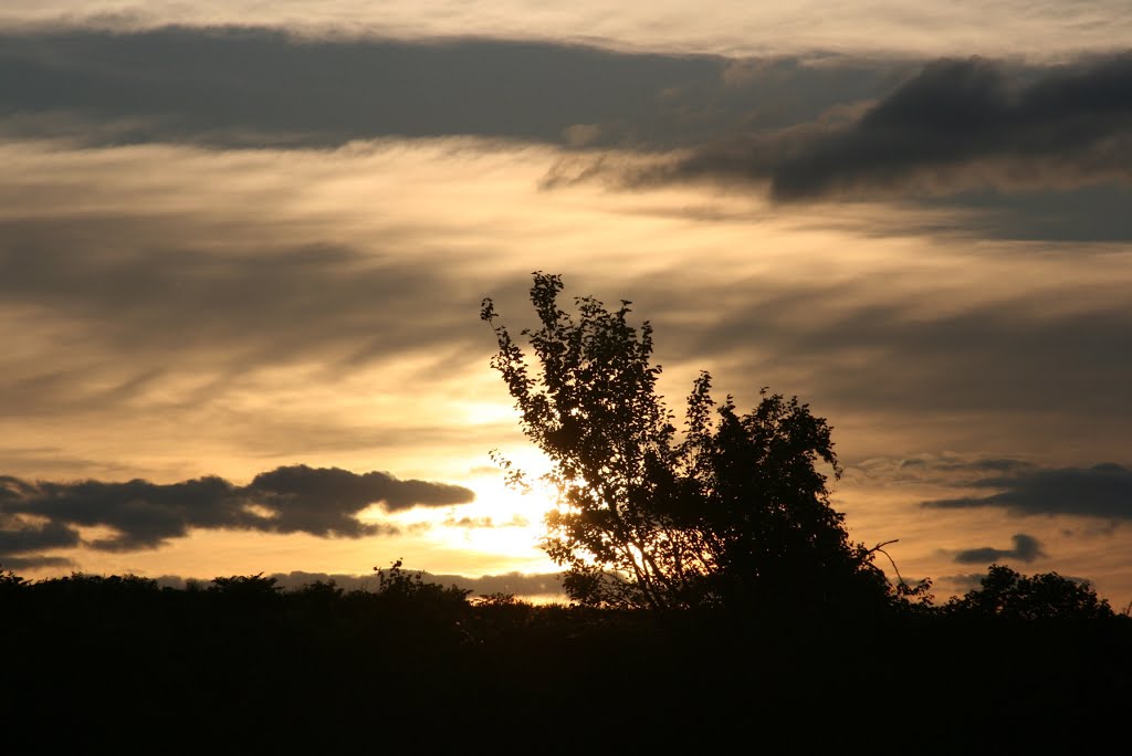 Sunset Wichita, Kansas