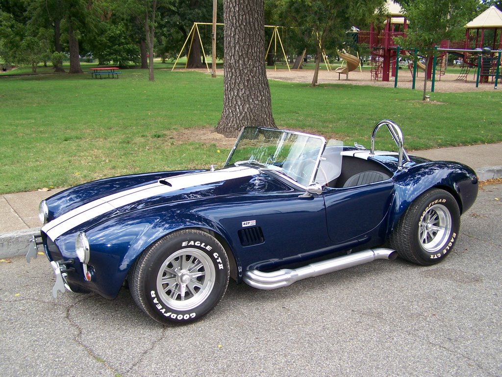 One bad cobra