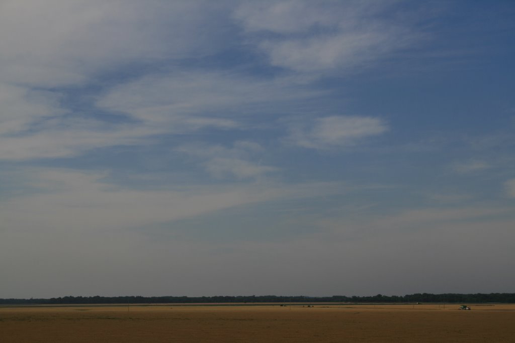 fields outside lawrence, kansas