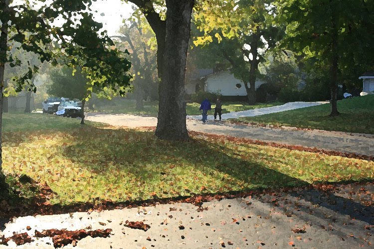 Early morning stroll