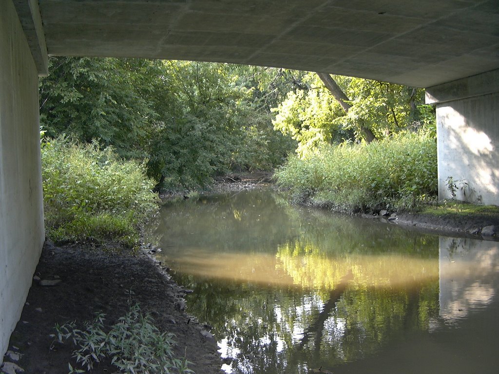 Smoky Hill River-old channel 02