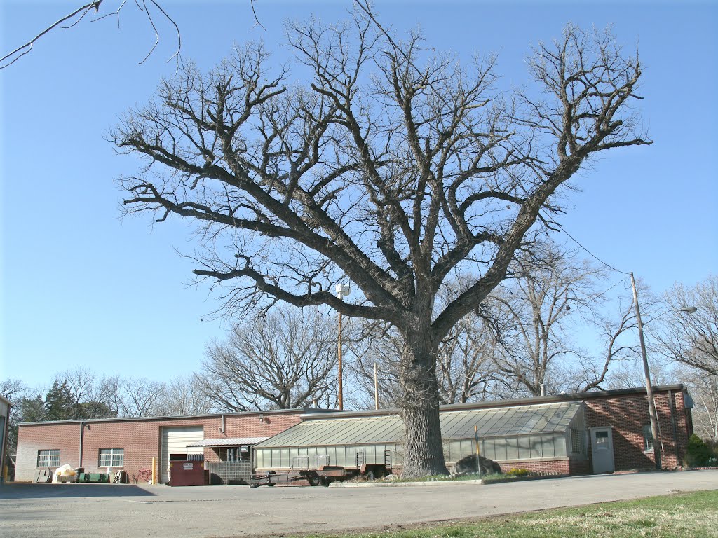 Oakdale Park, Salina Park Department building, southview