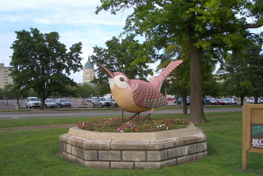 WREN station bird, Huntoon Park, Topeka, KS
