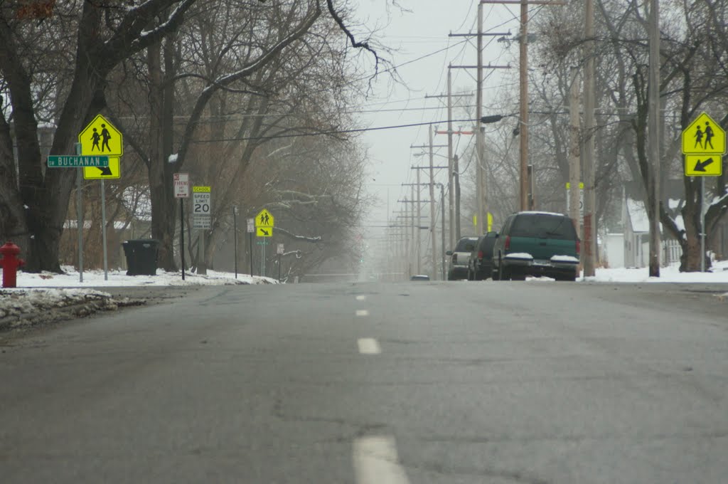 Foggy Drive