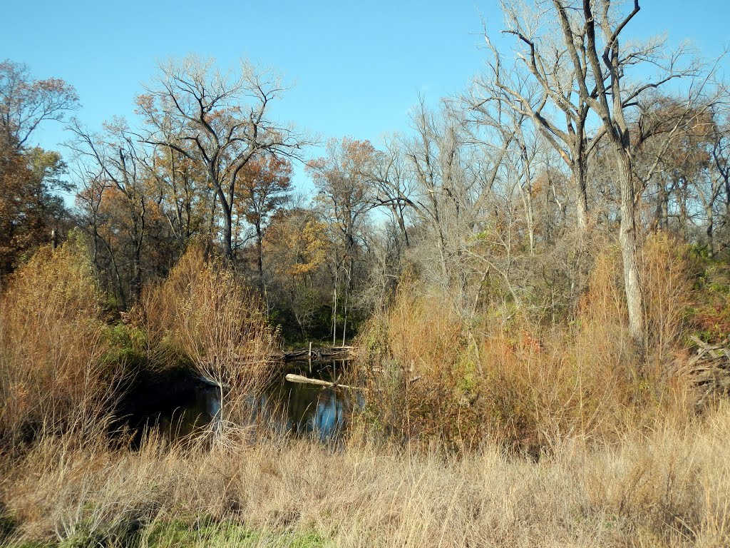 Mined Land Wildlife Area, Frontenac, KS