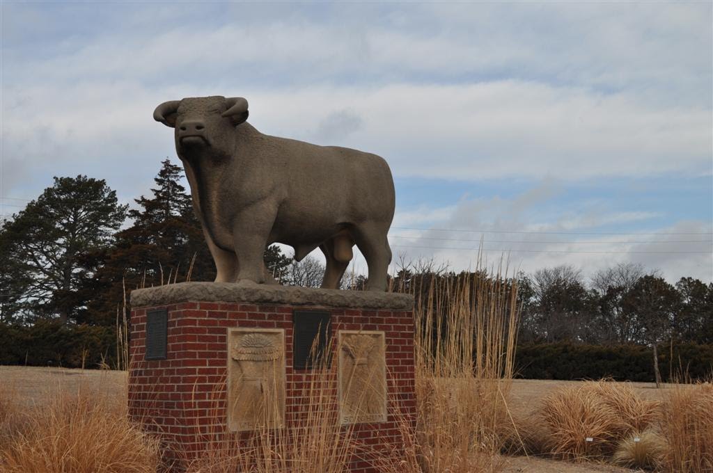 Hereford bull, limestone sculpture by Pete Felten, Hays, KS