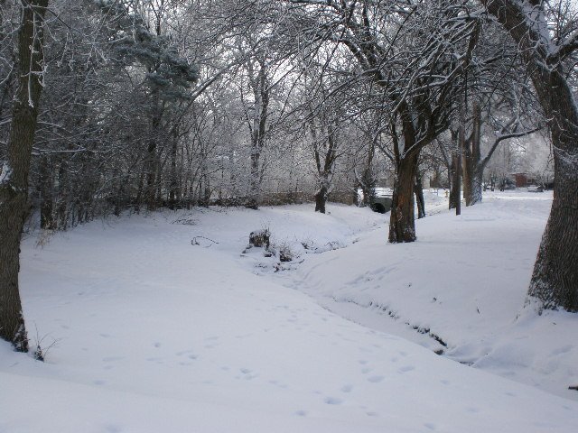 Lincoln Drive in winter