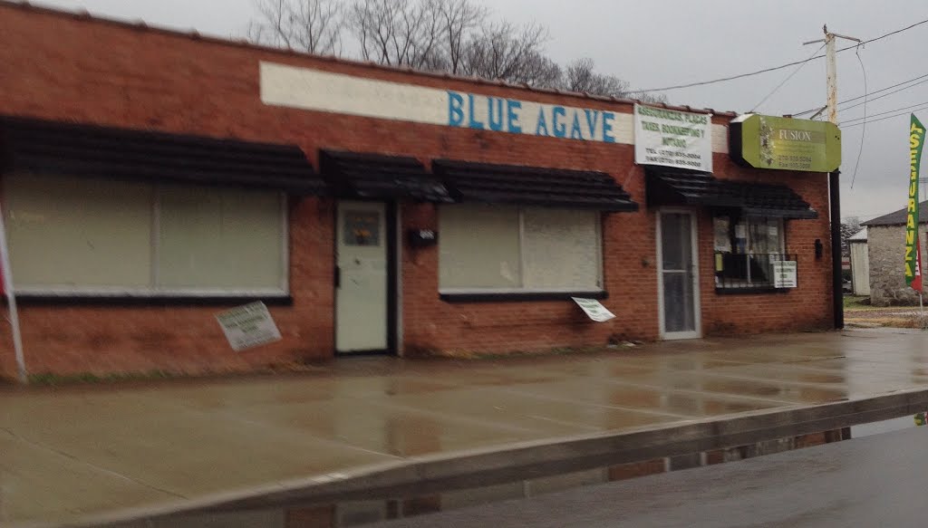 Blue Agave