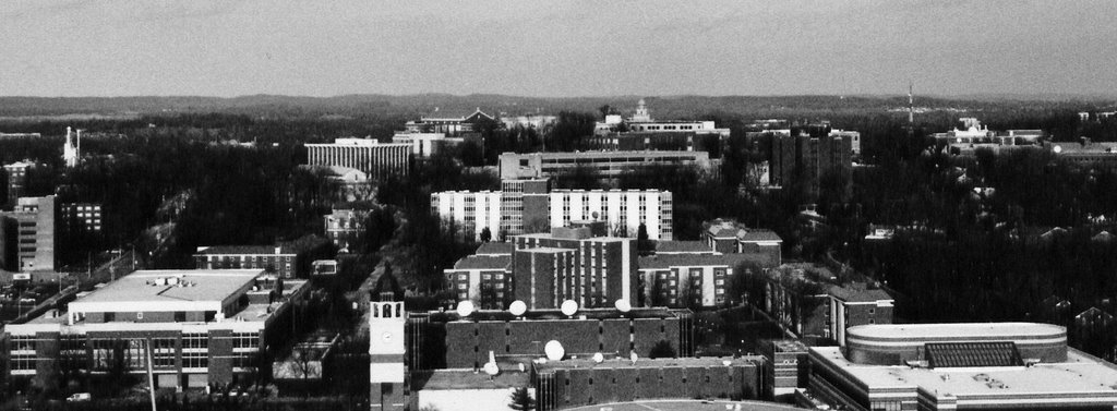 Western Kentucky University