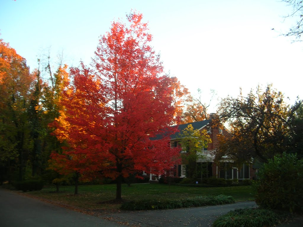 Fall Sulgrave Ct.