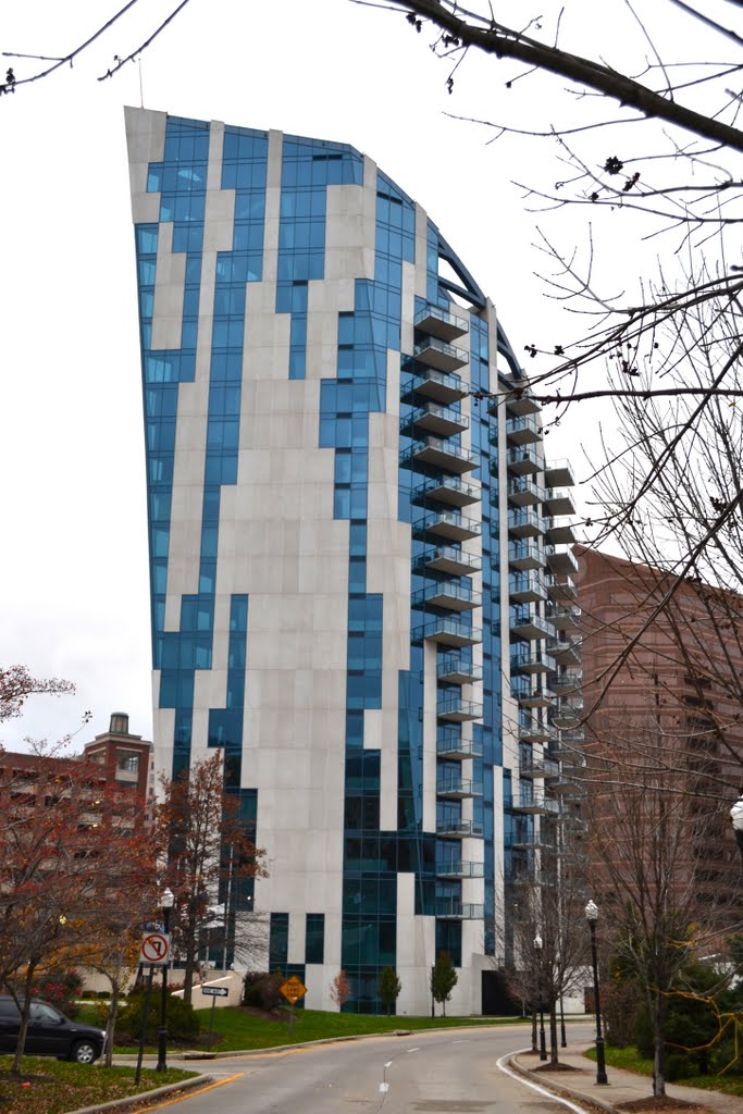 The Ascent Condo
