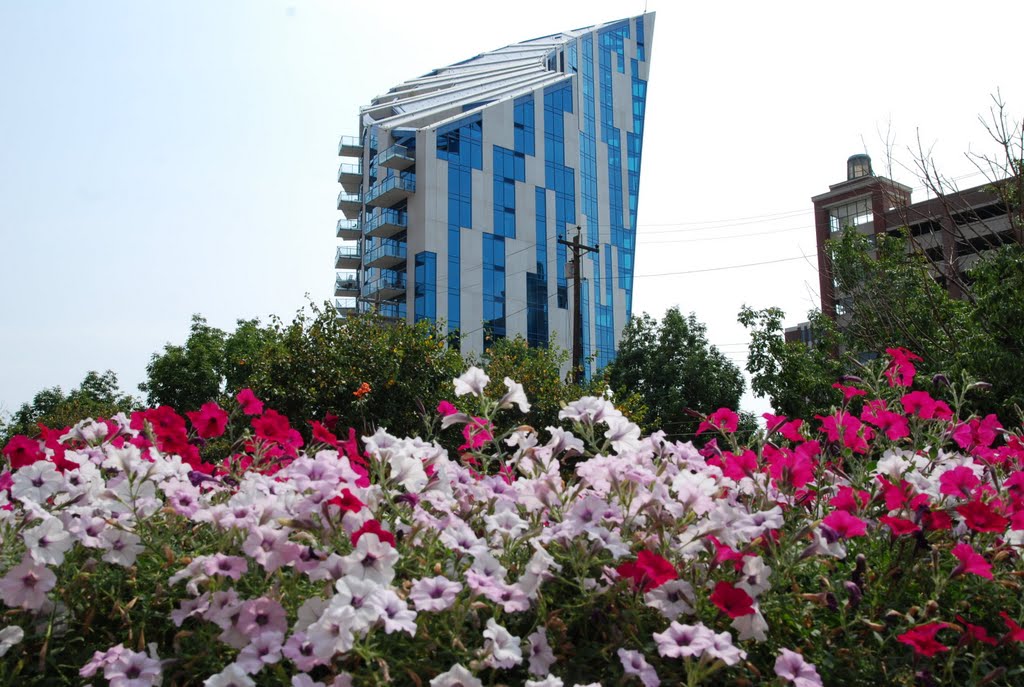 il condominio